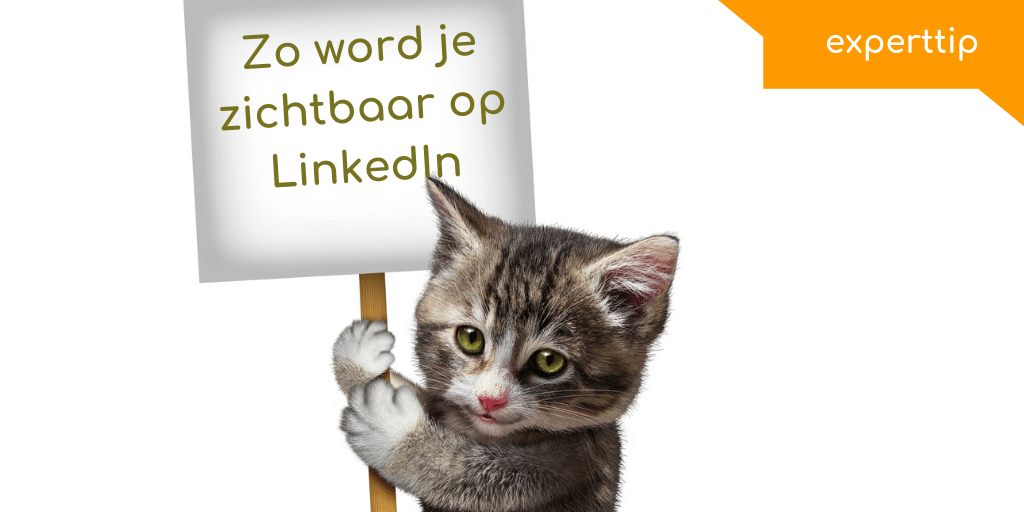 Als Zzp Er Scoren Met Linkedin Daretoo