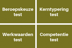 uitgebreide loopbaanscan